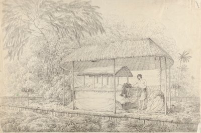 Waheiadooa, chef for Oheitepha, liggende i staten af John Webber