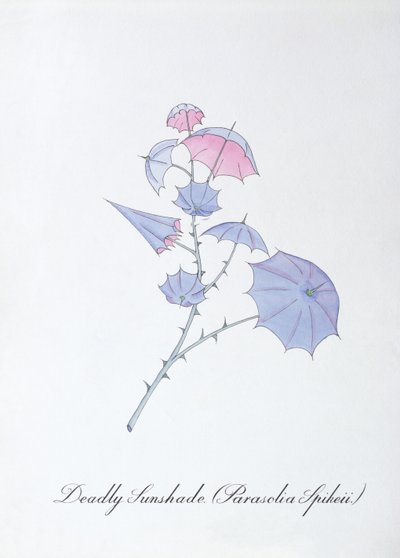 Deadly Sunshade (Parasolia Spikeii.), illustration fra 