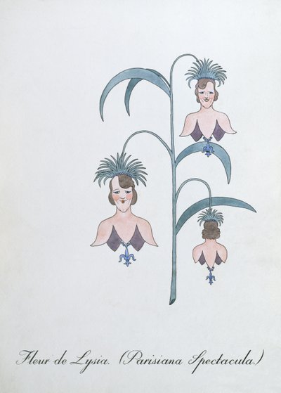 Fleur de Lysia (Parisiana Spectacula.), illustration fra 