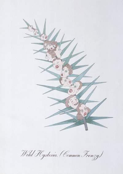 Wild Hysteria (Common Frenzy.), illustration fra 