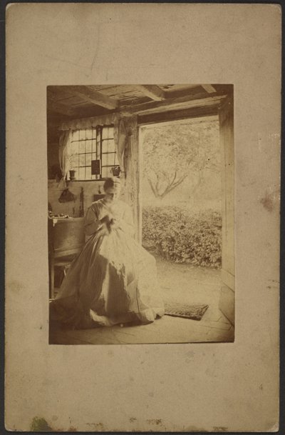 [Kvinde i lang stribet kjole sidder inde i rummet]. af John Whistler