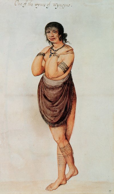 Indisk kvinde (farve litho) af John White