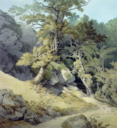 Canonteign, Devon af John White Abbott