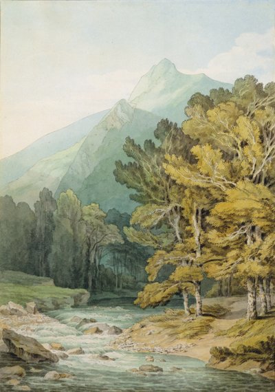 On the Dart in Holne Chase (wc på papir) af John White Abbott
