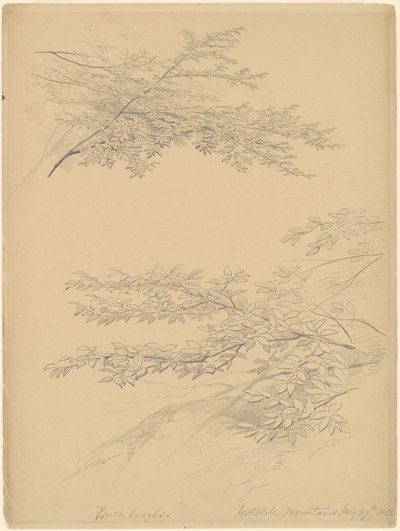 Birch Boughs, Catskill Mountains af John William Casilear