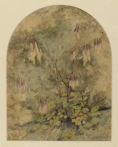 Vilde blomster (wc på papir) af John William Hill