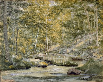Woodland Pool with Men Fishing, 1870 (wc på papir) af John William Hill