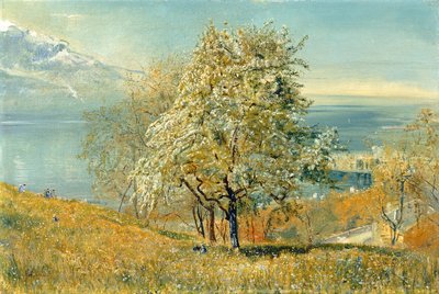 Genèvesøen, ca. 1880-1882 (olie på lærred) af John William Inchbold