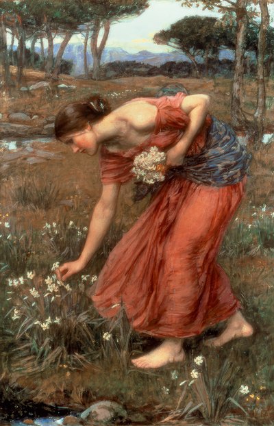Narcissus af John William Waterhouse