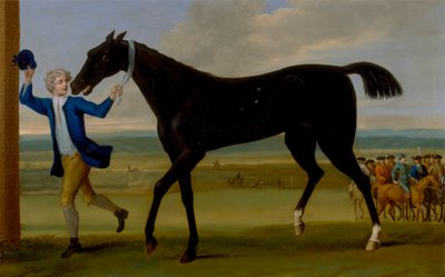 Hertugen af Rutlands Bonny Black af John Wootton