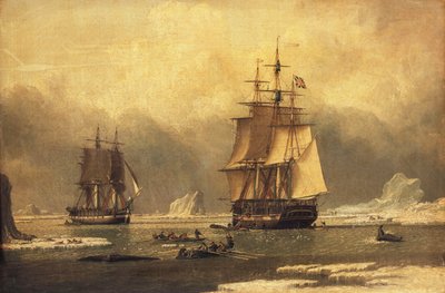 "Svanen" og "Isabella" hvalfangsten i Arktis, af John of Hull Ward