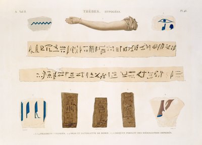 Illustrationer af hieroglyffer og armen af en mumie fra Hypogees, Theben, plade 48 fra bind II af `Descriptions of Egypt`, indgraveret af Charles, 1822 (akvatint) af Jomard