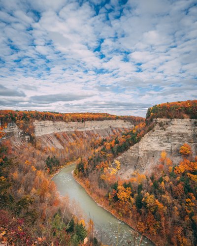 Efterårsfarver i kløften ved Letchworth State Park i New York, USA (foto) af Jon Bilous