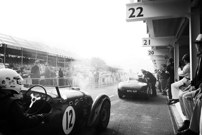 Goodwood Estate i West Sussex, Storbritannien, 2018 (foto) af Jon Nicholson