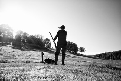 Goodwood Estate i West Sussex, Storbritannien, 2019 (foto) af Jon Nicholson