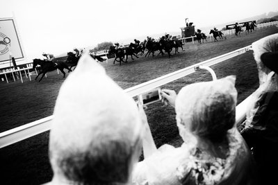 Goodwood Estate i West Sussex, Storbritannien, 2019 (foto) af Jon Nicholson