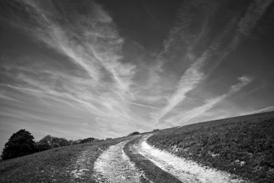 Goodwood Estate i West Sussex, Storbritannien, 2019 (foto) af Jon Nicholson