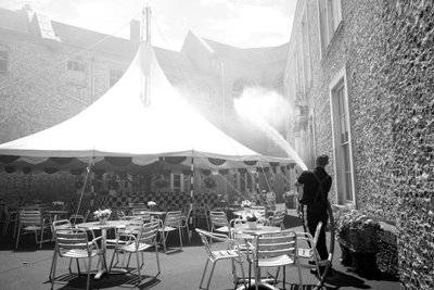 Goodwood Estate i West Sussex, Storbritannien, 2019 (foto) af Jon Nicholson