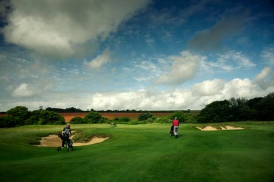 Goodwood Estate i West Sussex, Storbritannien, 2019 (foto) af Jon Nicholson