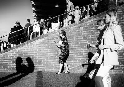 Goodwood Estate i West Sussex, Storbritannien, 2019 (foto) af Jon Nicholson