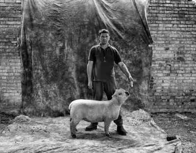 Goodwood Estate i West Sussex, Storbritannien, 2019 (foto) af Jon Nicholson