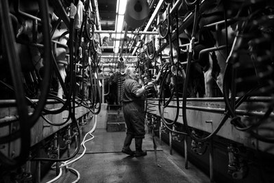 Goodwood Estate i West Sussex, Storbritannien, 2019 (foto) af Jon Nicholson