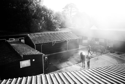 Goodwood Estate i West Sussex, Storbritannien, 2019 (foto) af Jon Nicholson