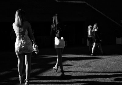 Goodwood Estate i West Sussex, Storbritannien, 2019 (foto) af Jon Nicholson