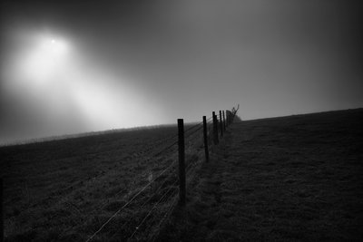 Goodwood Estate i West Sussex, Storbritannien, 2019 (foto) af Jon Nicholson