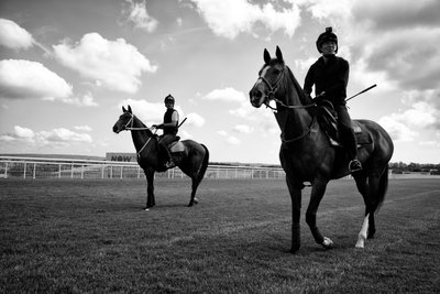Goodwood Estate i West Sussex, Storbritannien, 2019 (foto) af Jon Nicholson