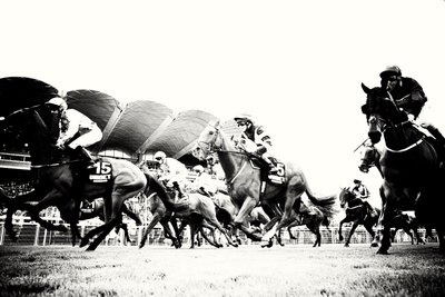 Goodwood Estate i West Sussex, Storbritannien, 2019 (foto) af Jon Nicholson