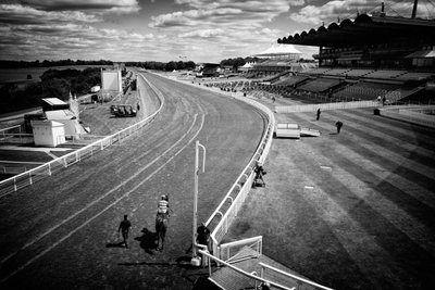 Goodwood Estate i West Sussex, Storbritannien, 2020 (foto) af Jon Nicholson