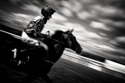 Goodwood Estate i West Sussex, Storbritannien, 2020 (foto) af Jon Nicholson