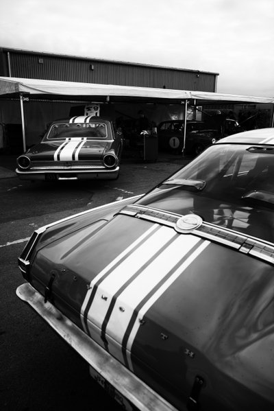 Goodwood Estate i West Sussex, Storbritannien, 2020 (foto) af Jon Nicholson