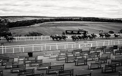 Goodwood Estate i West Sussex, Storbritannien, 2020 (foto) af Jon Nicholson