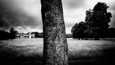 Goodwood Estate i West Sussex, Storbritannien, 2020 (foto) af Jon Nicholson