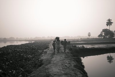 Fiskeri i vådområder i Kolkata, 2016 (foto) af Jon Nicholson