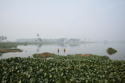 Fiskeri i vådområder i Kolkata, 2016 (foto) af Jon Nicholson