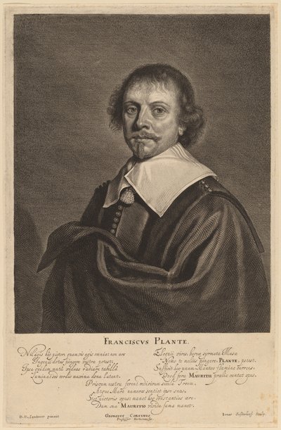 Francis Plante af Jonas Suyderhoff after Pieter Dircksz Santvoort