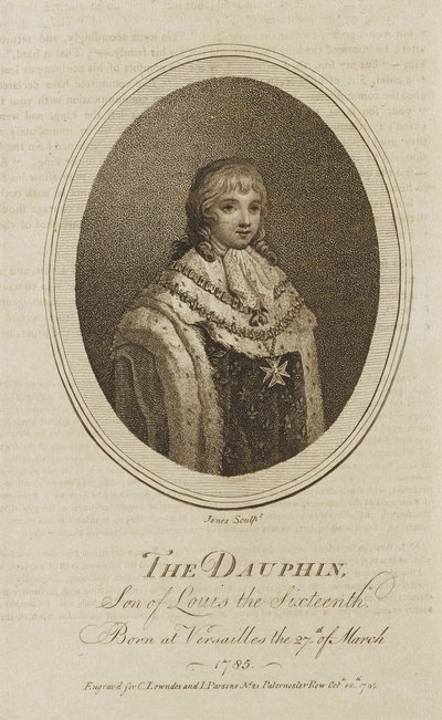 Delfinen af Jones