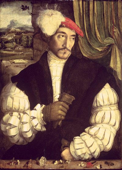 Portræt af en mand, 1533 af Jorg I Breu