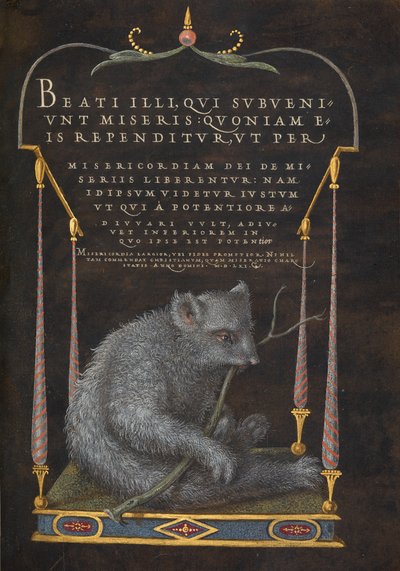 A Sloth af Joris Hoefnagel