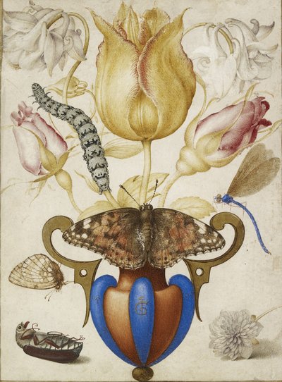Arrangement af blomster i en vase, med insekter, 1594 (Akvarel med guld på vellum) af Joris Hoefnagel