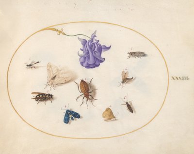 Insekter, ca. 1575-80 af Joris Hoefnagel