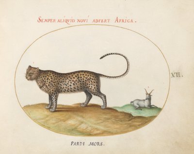 Plade 12: En gepard(?) og et vildt får af Joris Hoefnagel