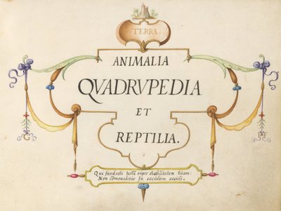 Titel side af Joris Hoefnagel