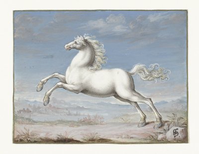 hvide hest af Joris Hoefnagel