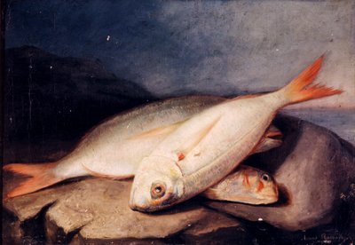 Spansk: Bodegón de peces af José Arias Ramírez