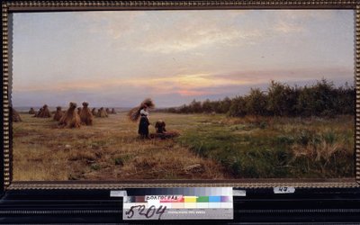 Høst i aftenlyset. (Høst i Aftenlyset). To kvinder, der arbejder på en mark fuld af høstakke. Maleri af Iosiph Evstafievich Krachkovsky (1854-1914), olie på lærred af Josef Evstafievich Krachkovsky