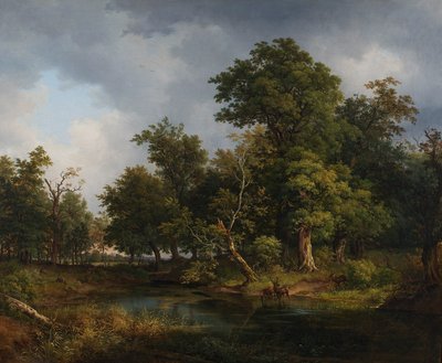 skovlandskab af Josef Feid